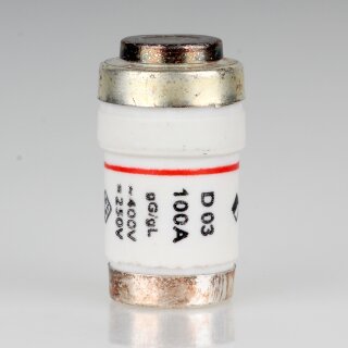 100A Neozed-Sicherung Keramik Schmelzeinsatz D03 400V