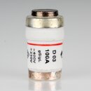 100A Neozed-Sicherung Keramik Schmelzeinsatz D03 400V