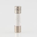 2.5A G-Sicherungseinsatz Feinsicherung 5x20mm 250V