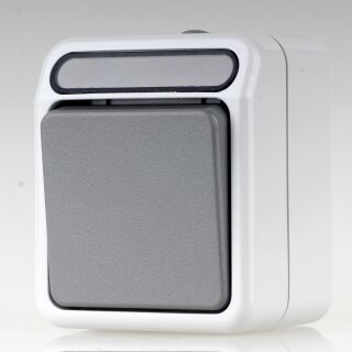 Merten Taster Schließer 1-polig 10 A 250 V Aufputz IP44 Lichtgrau MEG3150-8029