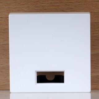 Merten Wippe mit Symbolfenster Aktivweiß glänzend 55×55mm System M 432825 / 30236