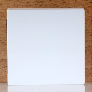 Merten Wippe Aktivweiß glänzend 55×55mm System M 432125 / 30234