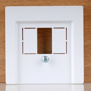 Merten Zentralplatte für TAE / Audio / USB Aktivweiß glänzend 55×55mm System M 296025 / 30239