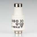 25A Diazed-Sicherung Keramik Schmelzeinsatz DII 500V