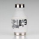 40A Diazed-Sicherung Keramik Schmelzeinsatz DIII 500V