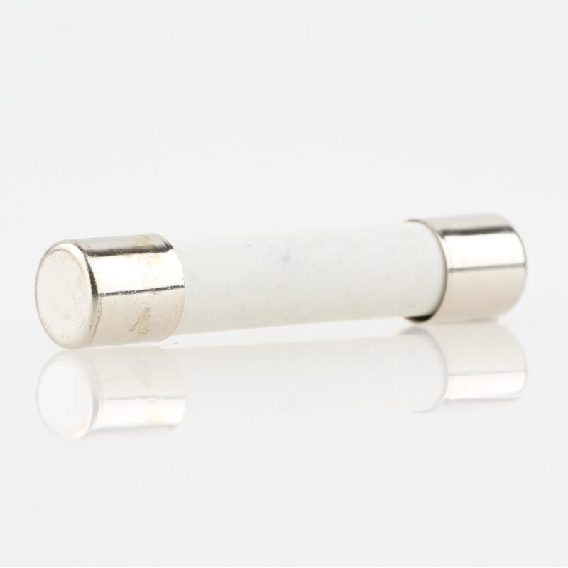 2X FCA-8A Sicherung: Schmelz 8A 250VAC Keramik 6,3x32mm Messing