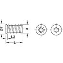 Häfele Euroschraube Varianta mit Senkkopf für 5mm Bohrung Länge 8mm