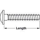 Häfele Gewindeschraube M4x1 Tellerkopf Kombi-Kreuzschlitz 10x30mm