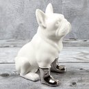 Spardose Hund "Funny Bulldog" französische Bulldogge Höhe 19cm aus Keramik weiss silber