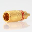 Cinchstecker Metall vergoldet für 8mm Kabel 2 x Farbring rot